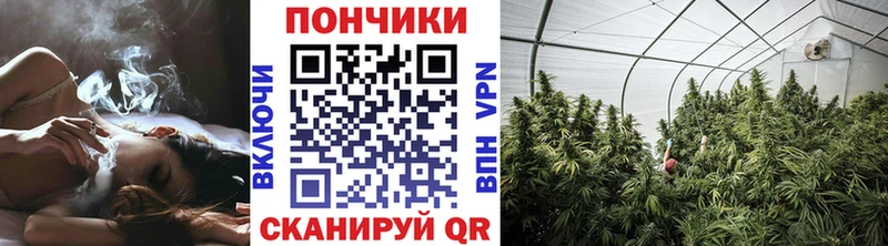 где найти наркотики Оренбург Шишки марихуана Bruce Banner